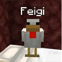 profile_Feigi