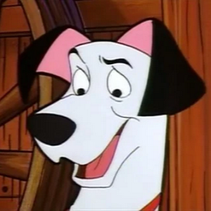 profile_Pongo