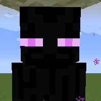 Enderman (mob) MBTI Personality Type image