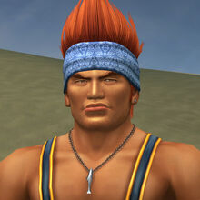 Wakka MBTI Personality Type image