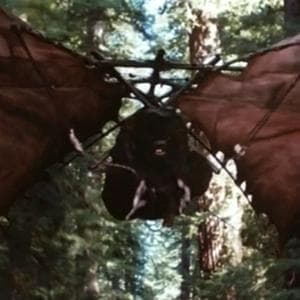profile_Unidentified Ewok (Hang Glider) 1