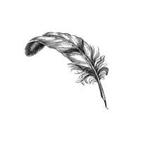 Poet (soldier, poet, king test) MBTI性格类型 image