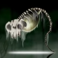 Skeleton Entity mbti kişilik türü image