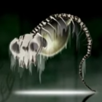 Skeleton Entity mbtiパーソナリティタイプ image