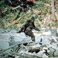 Bigfoot, Sasquatch, and Yeti type de personnalité MBTI image