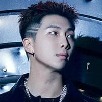 RM (BTS) type de personnalité MBTI image