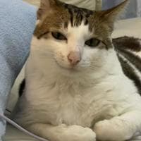 profile_Uncle Bao Bao