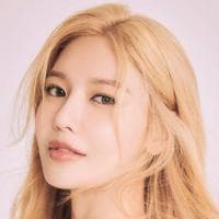 Choi Sooyoung (SNSD) MBTI -Persönlichkeitstyp image