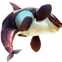 profile_Killer Whale