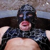 Zarko "The Masked Wrestler" tipo de personalidade mbti image
