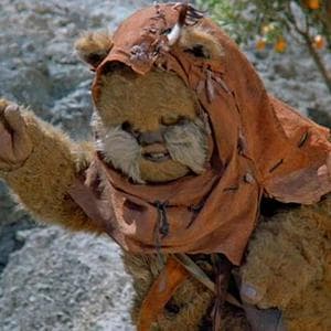 profile_Widdle Warrick "Willy"