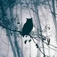 (Salem Seven) Owl tipo di personalità MBTI image