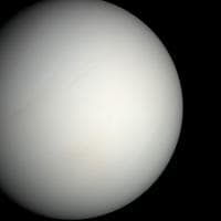 Venus MBTI -Persönlichkeitstyp image