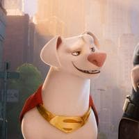 Krypto the Superdog نوع شخصية MBTI image