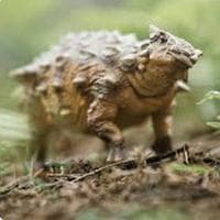 Ankylosaurus tipo di personalità MBTI image
