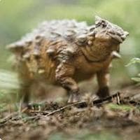 Ankylosaurus mbti kişilik türü image