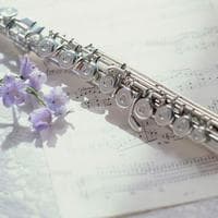 Flute MBTI Personality Type image