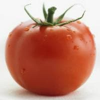 老番茄 (Old Tomato) тип личности MBTI image