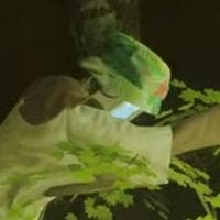 profile_Roshee
