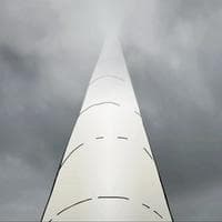 Mysterious Tall Pole mbti kişilik türü image