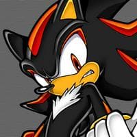 Shadow the Hedgehog MBTI Personality Type image