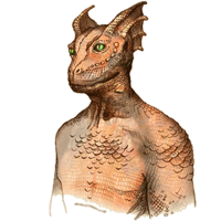 Argonian MBTI Personality Type image