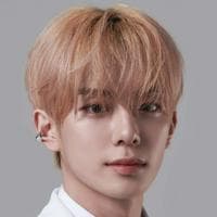 Kangmin (VERIVERY) typ osobowości MBTI image