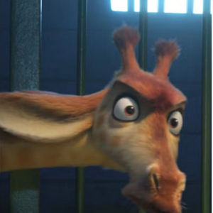 profile_Gramma Taller