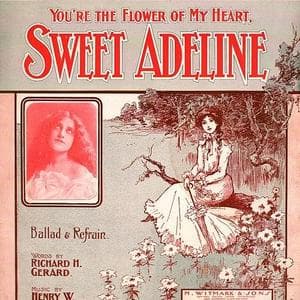 profile_Haydn Quartet - Sweet Adeline (You're the Flower of My Heart)
