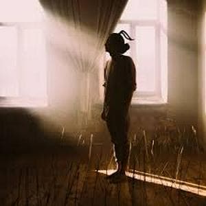 profile_лампабикт - Крылья