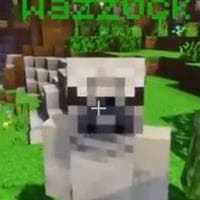 profile_Wazzock