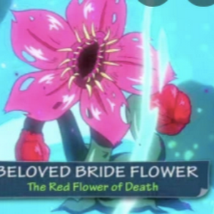profile_Beloved Bride Flower