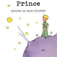 The Little Prince (The book itself) MBTI Personality Type image