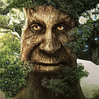 Wise Mystical Tree MBTI Personality Type image