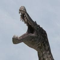 Baryonyx نوع شخصية MBTI image