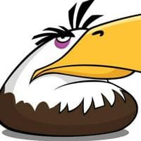 Mighty Eagle тип личности MBTI image