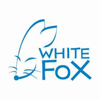 White Fox tipo de personalidade mbti image