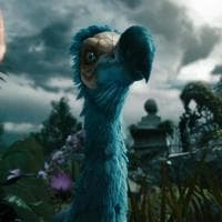 profile_The Dodo