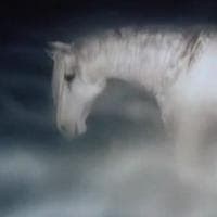 White Horse tipo di personalità MBTI image