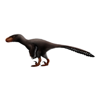 Utahraptor mbtiパーソナリティタイプ image