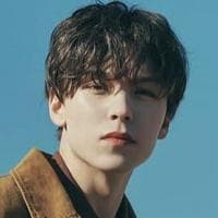 profile_Vernon (SEVENTEEN)