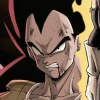 Raditz (Universe 13) MBTI性格类型 image