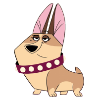 profile_Clarissa Corgi