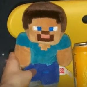 profile_Steve
