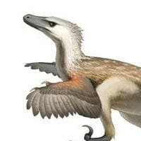 Velociraptor MBTI 성격 유형 image