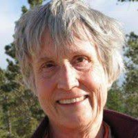 Donna Haraway tipo de personalidade mbti image