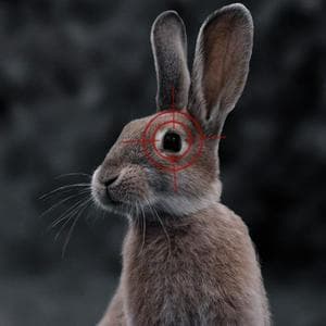 profile_Hare in the crosshairs (Заяц под прицелом)