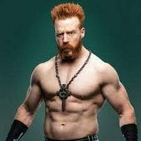 Sheamus type de personnalité MBTI image