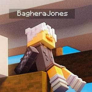 profile_Baghera