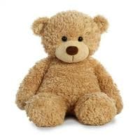 Teddy Bear MBTI Personality Type image